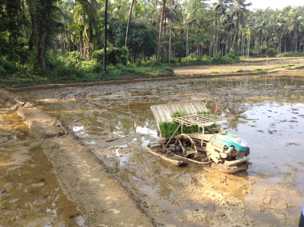 A manual rice transplanter parked in the flooded paddy, loaded with seedling trays