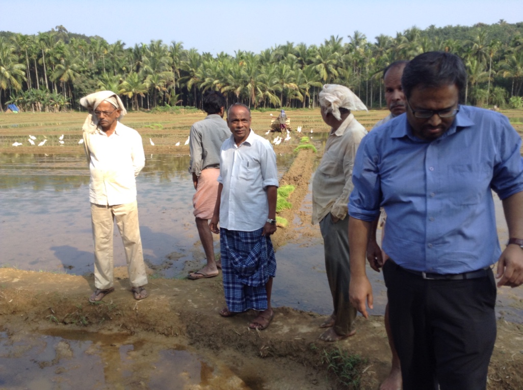 A group of farmers and a Keleno team member gathered at the edge of a paddy field